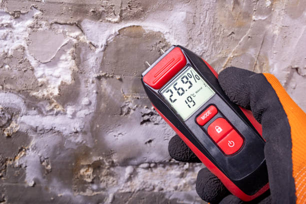 Best Commercial Mold Removal  in Hidden Valley, IN