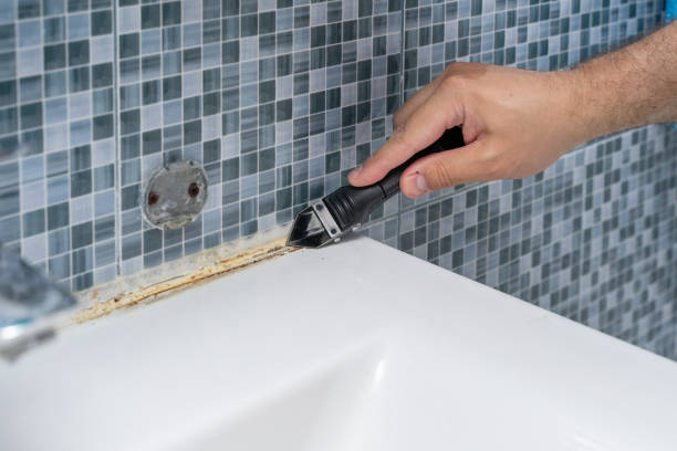 Best Home Mold Removal  in Hidden Valley, IN