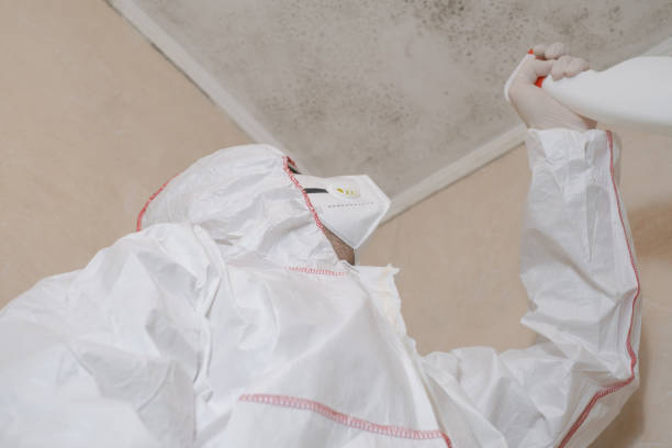 Mold Removal and Inspection in Hidden Valley, IN