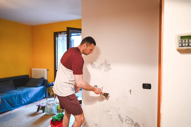 Best Local Mold Removal Service  in Hidden Valley, IN